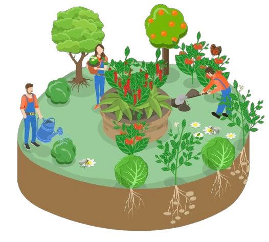 Agriculture Yields Icon